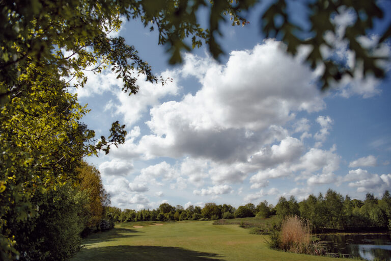Sonnige Wiese, Bäume, Wolken, Teich und der malerische Golf Treudelberg.