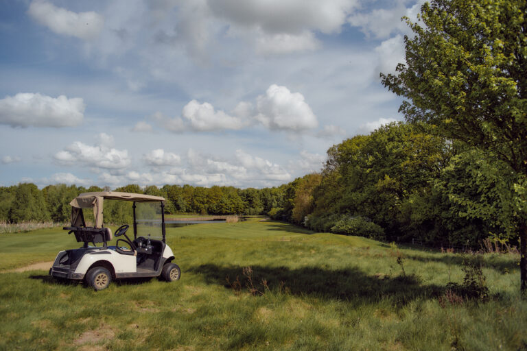 Weißer Golfwagen auf Gras in der Nähe eines Baumes geparkt, Kurs sichtbar.