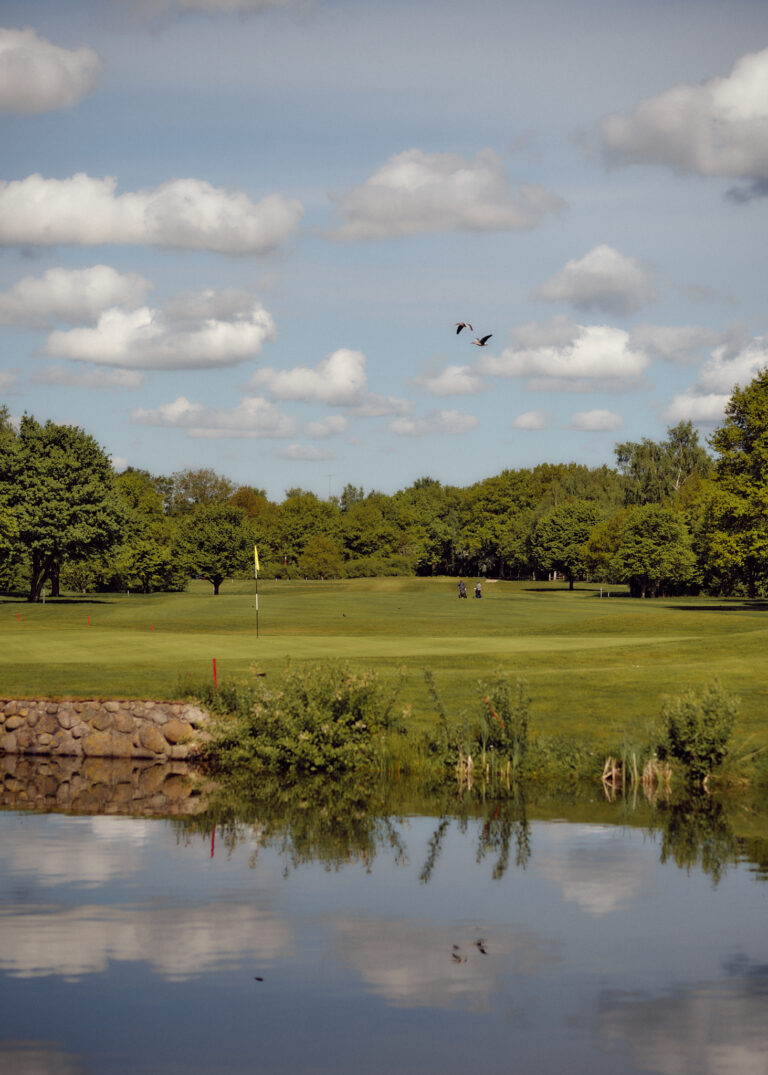 Golfplatz, Teich, Bäume, entferntes Grün; Vögel fliegen über dem Fairway.