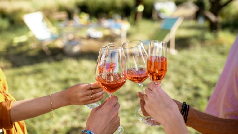Vier Personen stoßen auf dem Weinfest in der Pizzeria NOI! im Freien mit Rosé an; auf dem Bild weinfest-pizzeria-noi-clinking-glasses sind üppige Stühle zu sehen.