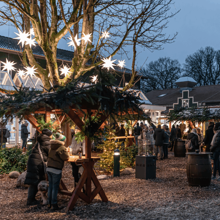 On Christmas market evenings, people shop at festive stalls under star lights hanging from the decorated tree.